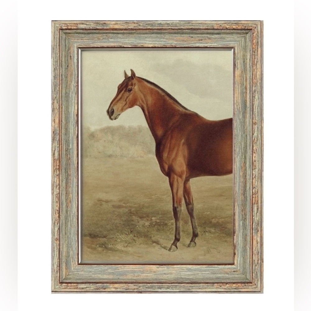Classic Framed Equine Portrait